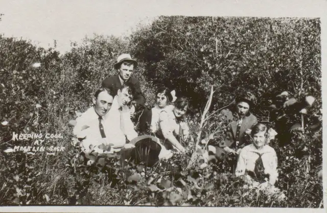 Keeping cool at Macklin, Sask. – group among the bushes
